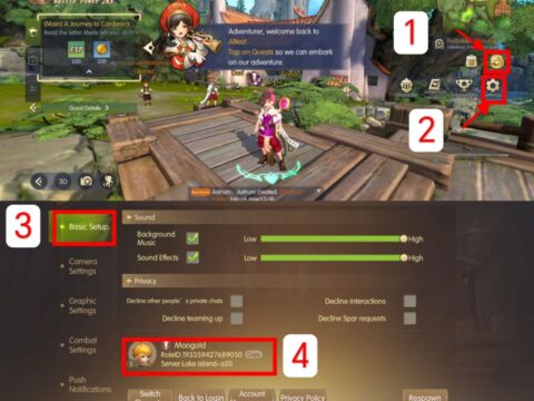 dragon-nest-2-evolution-global-player-id