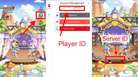 maplestory-r-evolution-player-id