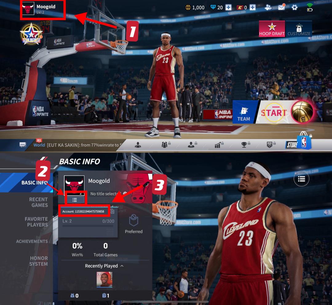 nba-infinite-player-id