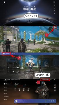 destiny-rising-playerid