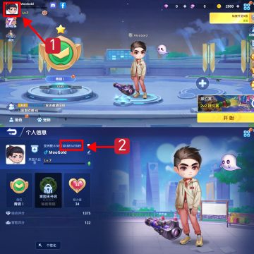 ballistic-hero-vng-player-id