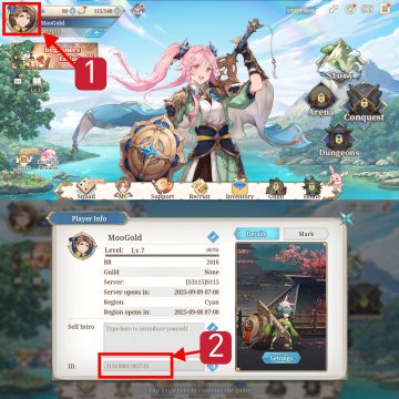 samkok-fantasy-player-id