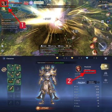 sword-of-fire-and-ice-player-id