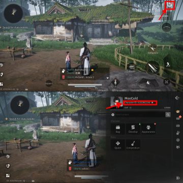 where-winds-meet-player-id