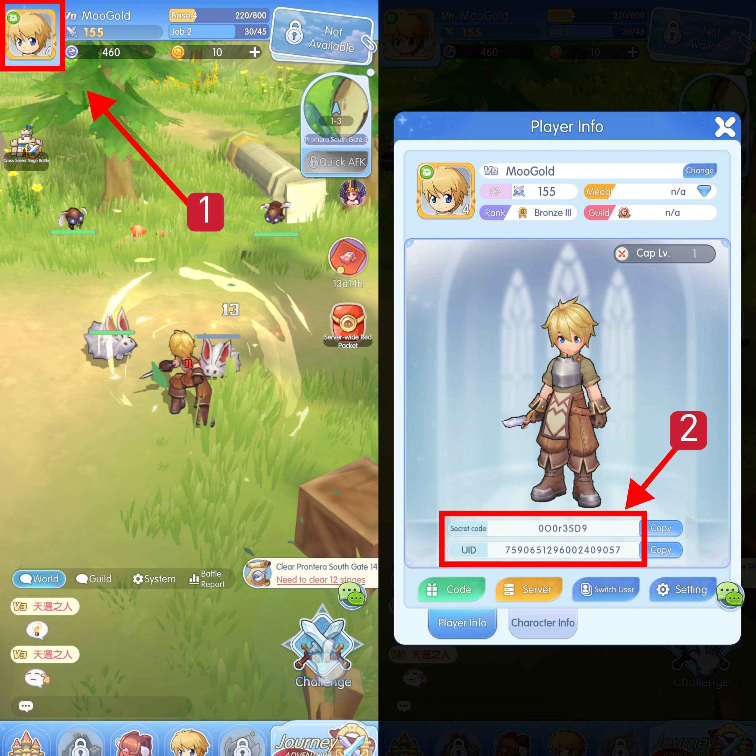 ragnarok-idle-player-id